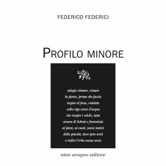 Profilo minore - Federico Federici - copertina