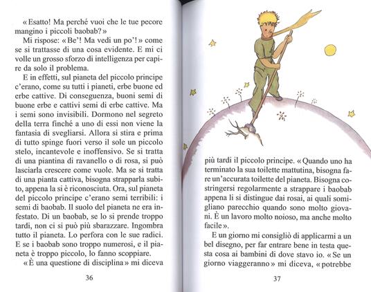 Il Piccolo Principe - Antoine de Saint-Exupéry - 3