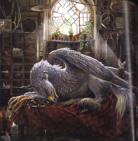 Harry Potter. Un viaggio nella storia della magia - 8