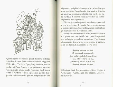La cosa incredibilmente strana che è successa ad Huggabie Falls - Adam Cece - 3