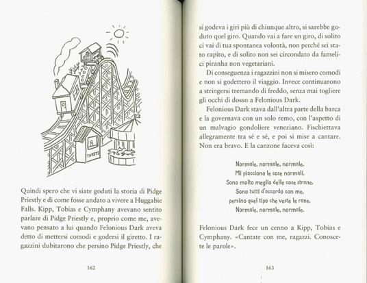 La cosa incredibilmente strana che è successa ad Huggabie Falls - Adam Cece - 3