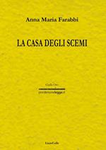 La casa degli scemi