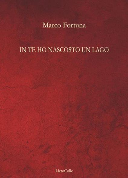 In te ho nascosto un lago - Marco Fortuna - copertina