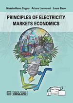 Principles of electricity markets economics
