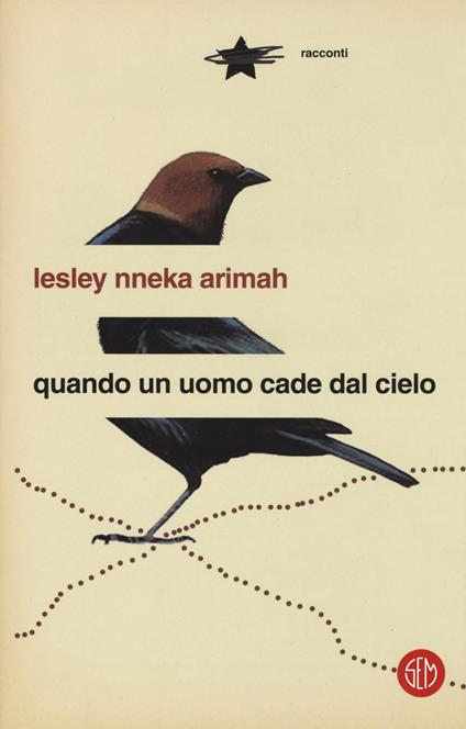 Quando un uomo cade dal cielo - Lesley Nneka Arimah - copertina