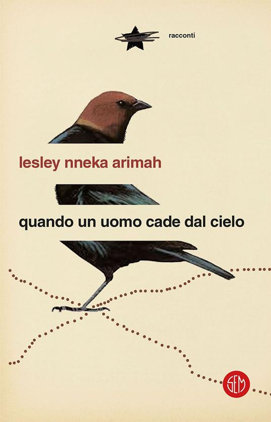 Quando un uomo cade dal cielo - Lesley Nneka Arimah,Tiziana Lo Porto - ebook