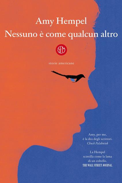 Nessuno è come qualcun altro. Storie americane - Amy Hempel,Silvia Pareschi - ebook