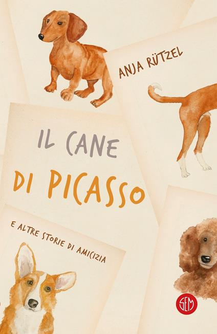 Il cane di Picasso e altre storie di amicizia - Anja Rützel,Monica Lumachi,Paolo Scotini - ebook