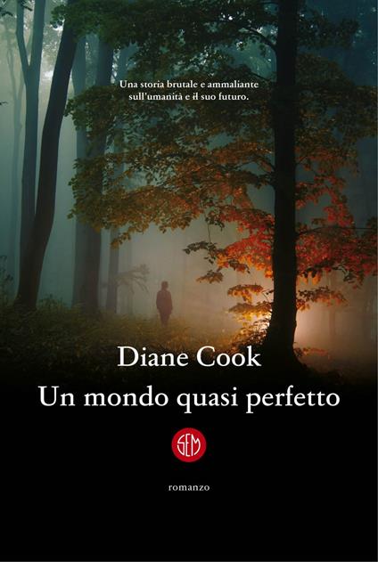 Un mondo quasi perfetto - Diane Cook,Velia Februari - ebook