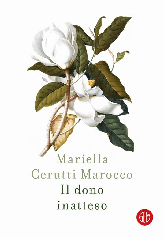 Il dono inatteso - Mariella Cerutti Marocco - copertina