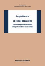 Le forme dell'acqua. Economia e politiche del diritto nella gestione delle risorse idriche