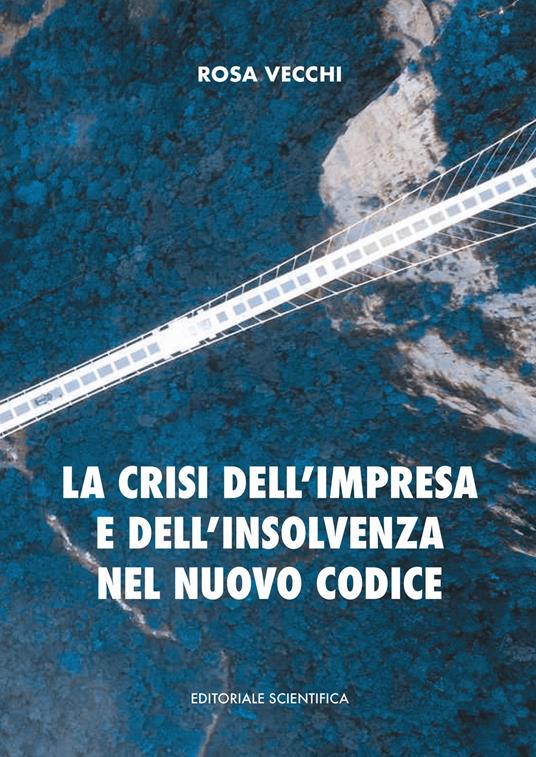 La crisi dell'impresa e dell'insolvenza nel nuovo codice - Rosa Vecchi - copertina