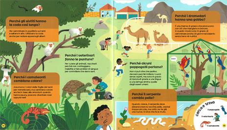 La mia prima enciclopedia dei perché. Ediz. illustrata - Sylvie Baussier - 3