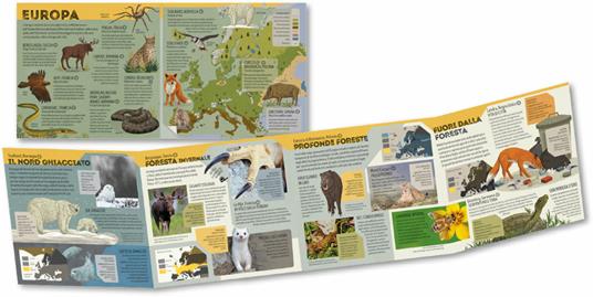 Grande atlante degli animali. Informazioni sorprendenti, mappe da esplorare e alette da sollevare - Anne Rooney - 3