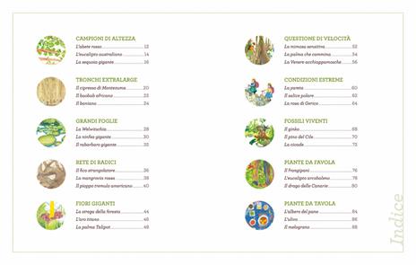 Voci dal mondo verde. Le piante si raccontano - Stefano Bordiglioni - 4