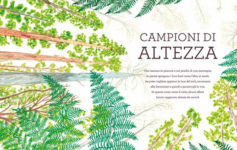 Voci dal mondo verde. Le piante si raccontano - Stefano Bordiglioni - 5