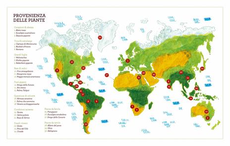 Voci dal mondo verde. Le piante si raccontano - Stefano Bordiglioni - 7