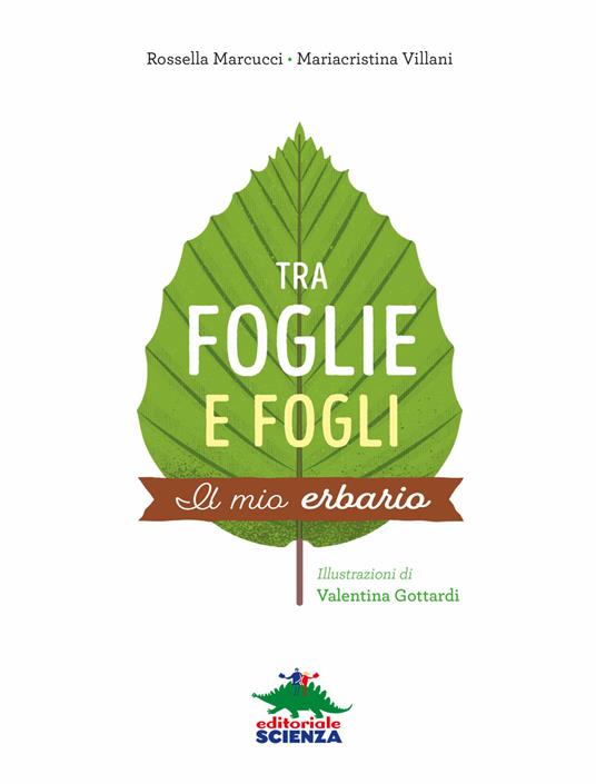 Tra foglie e fogli. Il mio erbario. Ediz. a spirale - Rossella Marcucci,Mariacristina Villani - 3