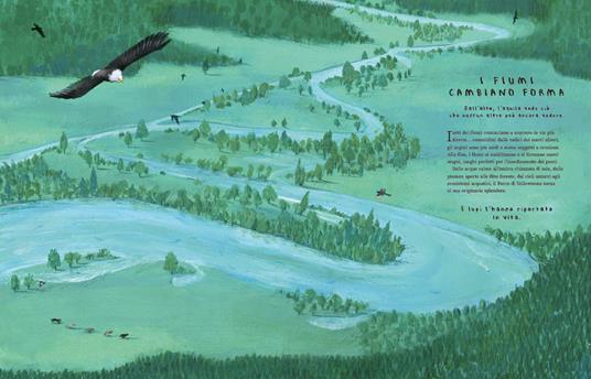 Quattordici lupi. Storia vera di un ritorno - Catherine Barr - 5