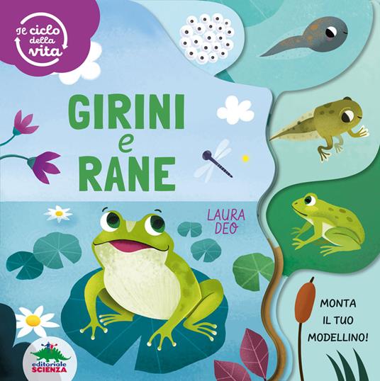 Girini e rane. Il ciclo della vita. Ediz. a colori - Laura Deo - copertina