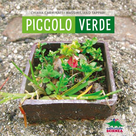 Piccolo verde. Ediz. illustrata - Chiara Carminati,Massimiliano Tappari - copertina
