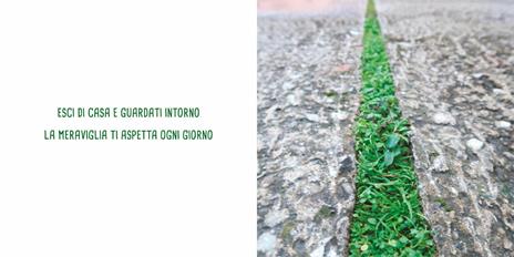Piccolo verde. Ediz. illustrata - Chiara Carminati,Massimiliano Tappari - 2