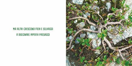 Piccolo verde. Ediz. illustrata - Chiara Carminati,Massimiliano Tappari - 3