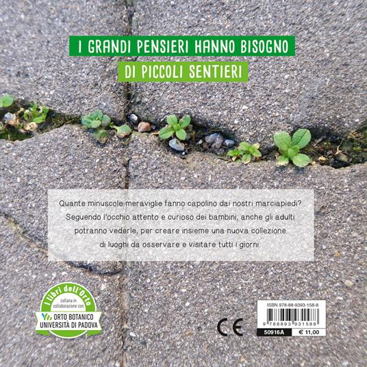 Piccolo verde. Ediz. illustrata - Chiara Carminati,Massimiliano Tappari - 5