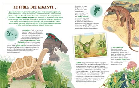 Un mondo di isole. Ediz. a colori - Serena Quarello - 4