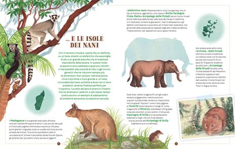 Un mondo di isole. Ediz. a colori - Serena Quarello - 5