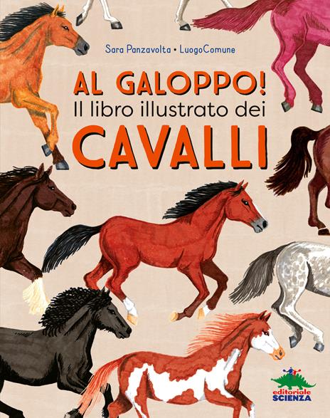Al galoppo! Il libro illustrato dei cavalli. Ediz. a colori - Sara Panzavolta - copertina