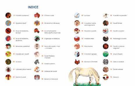 Al galoppo! Il libro illustrato dei cavalli. Ediz. a colori - Sara Panzavolta - 3