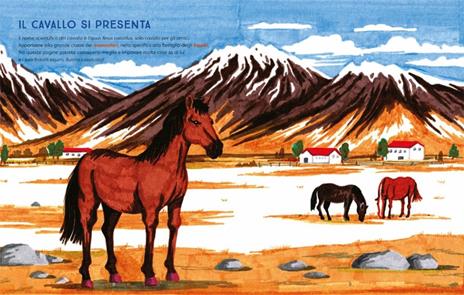 Al galoppo! Il libro illustrato dei cavalli. Ediz. a colori - Sara Panzavolta - 4