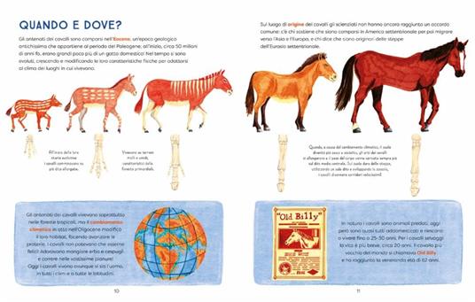 Al galoppo! Il libro illustrato dei cavalli. Ediz. a colori - Sara Panzavolta - 5