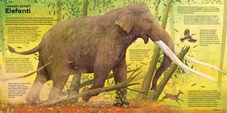 Mega. I più grandi animali di sempre! Ediz. a colori - Jules Howard - 5