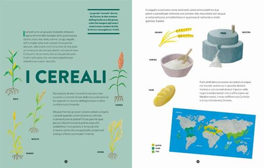 Il riso. Ediz. a colori - Alessandra Valtieri - 4