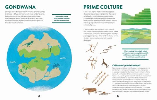 Il riso. Ediz. a colori - Alessandra Valtieri - 5
