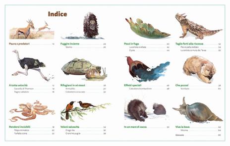 I maestri della fuga. Ediz. a colori - Sara Basilone - 3