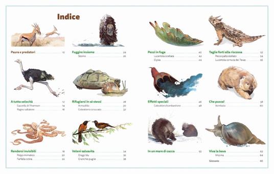 I maestri della fuga. Ediz. a colori - Sara Basilone - 3