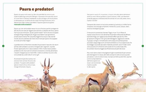 I maestri della fuga. Ediz. a colori - Sara Basilone - 4