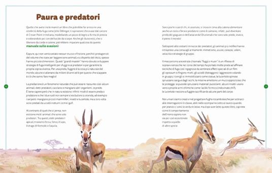 I maestri della fuga. Ediz. a colori - Sara Basilone - 4