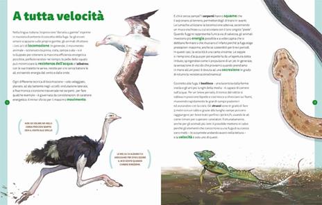 I maestri della fuga. Ediz. a colori - Sara Basilone - 5