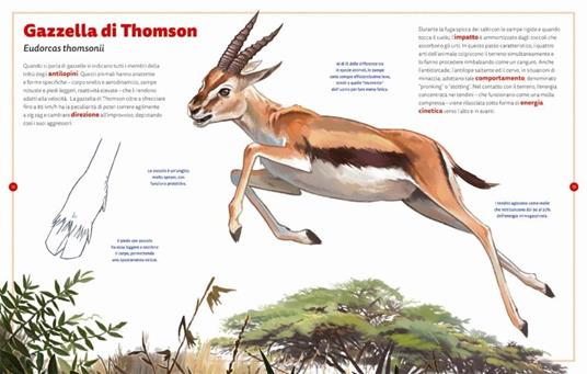 I maestri della fuga. Ediz. a colori - Sara Basilone - 6