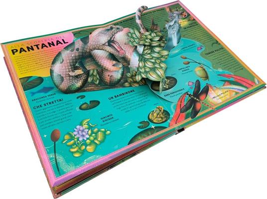 L'incredibile pop-up degli anfibi e altri e altri animali delle terre umide. Ediz. a colori - Ben Hoare - 3