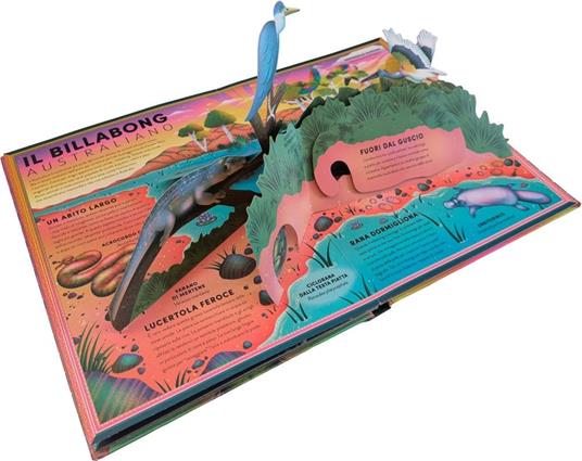 L'incredibile pop-up degli anfibi e altri e altri animali delle terre umide. Ediz. a colori - Ben Hoare - 4