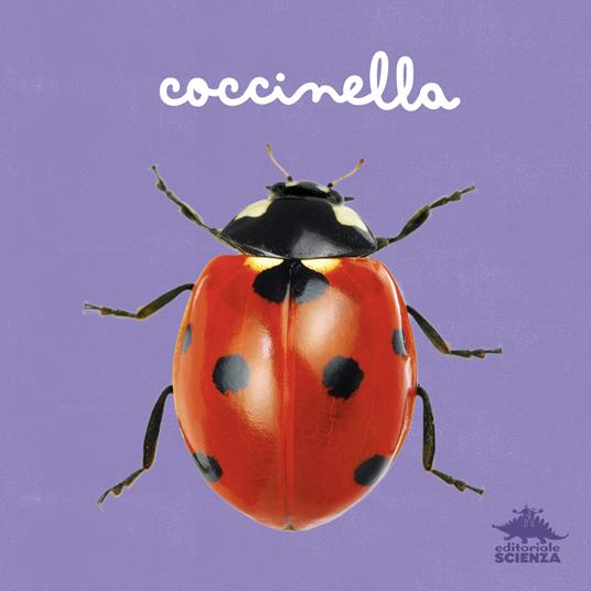 Coccinella. Ediz. a colori - Micol Doria - copertina