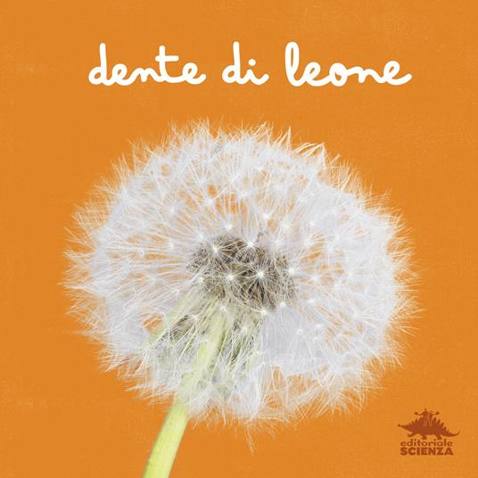 Dente di leone. Ediz. a colori - Micol Doria - copertina