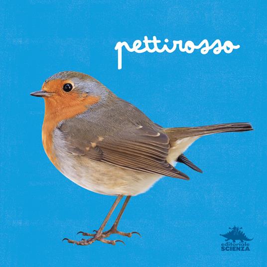 Pettirosso. Ediz. a colori - Micol Doria - copertina