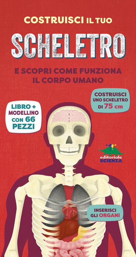 Costruisci il tuo scheletro e scopri come funziona il corpo umano. Ediz. a colori. Con modellino da costruire - Richard Walker - copertina