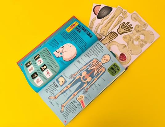 Costruisci il tuo scheletro e scopri come funziona il corpo umano. Ediz. a colori. Con modellino da costruire - Richard Walker - 4